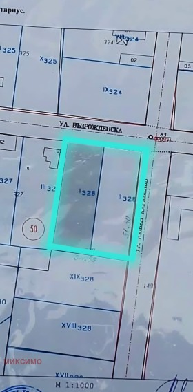 ����� ������� ������,�. �����, ������ ����