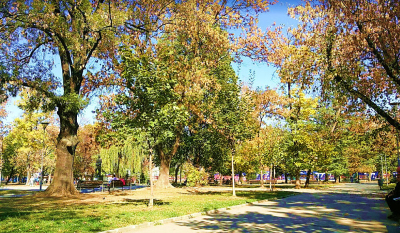 Zu verkaufen  1 Schlafzimmer Sofia , Lewski , 81 qm | 54192080 - Bild [13]