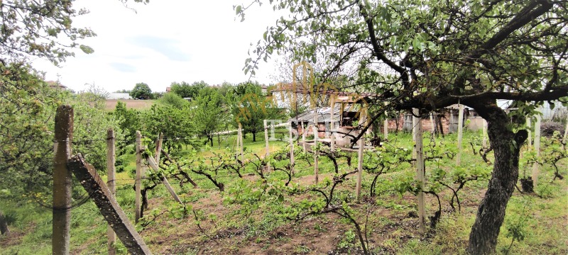 Til salg  Hus region Veliko Tarnovo , Balgarsko Slivovo , 183 kvm | 98013341 - billede [2]