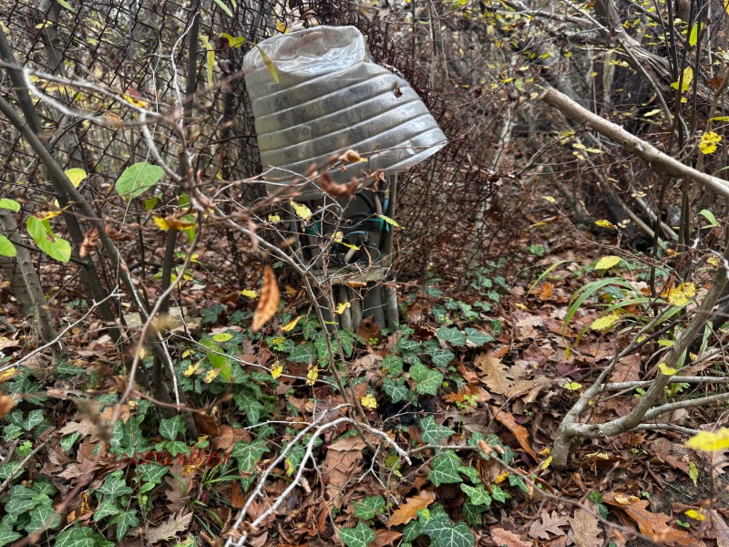 Satılık  Komplo Varna , m-t Borovec - yug , 1411 metrekare | 55162237 - görüntü [3]