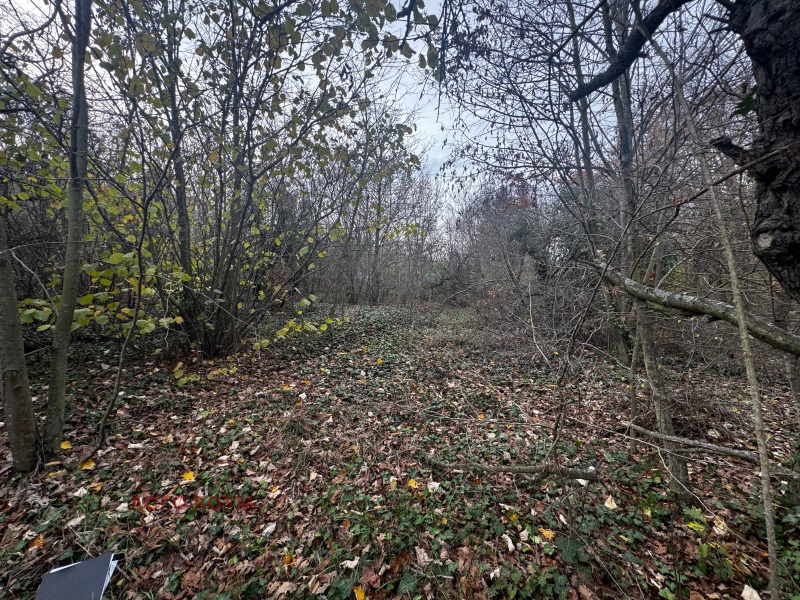 Satılık  Komplo Varna , m-t Borovec - yug , 1411 metrekare | 55162237 - görüntü [7]