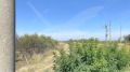 Продава ПАРЦЕЛ, област Пловдив, гр. Асеновград • 45000 € • 95113003 — Holmes.bg