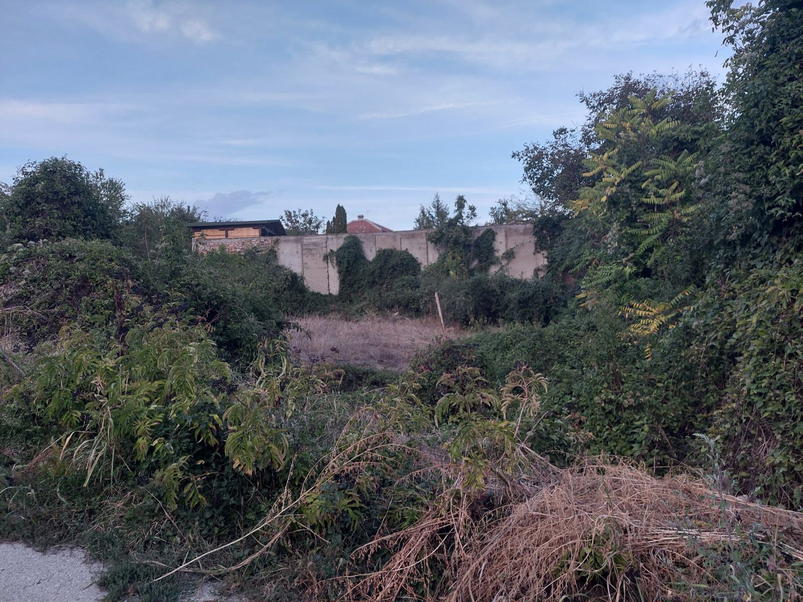 Продава ПАРЦЕЛ, с. Леденик, област Велико Търново, снимка 2 - Парцели - 52603133