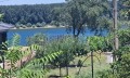 Продава  Къща област Видин , с. Гомотарци , 88 кв.м | 61276624 - изображение [6]