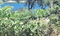 Продава  Къща област Видин , с. Гомотарци , 88 кв.м | 61276624 - изображение [5]