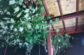 Продава КЪЩА, област София, с. Джурово • 59900 € / 117154.22 лв. • 48888091 5