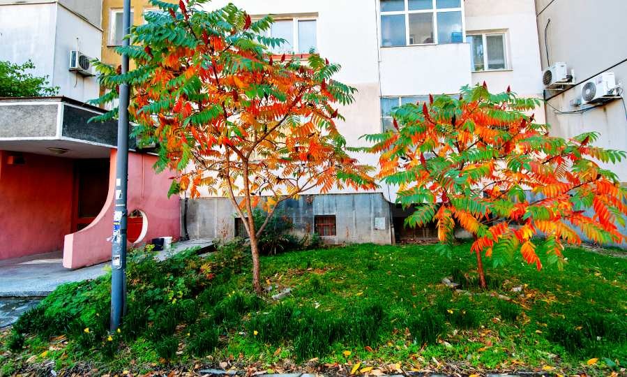 ������� 3-����� | Imot.bg � ����������� 14