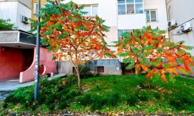 ������� 3-����� | Imot.bg � ����� ������ 14