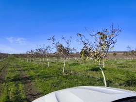 ������� ���������� ���� | Imot.bg � ����� ������ 7