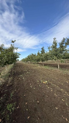 ������� ���������� ���� | Imot.bg � ����� ������ 2