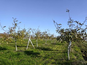 ������� ���������� ���� | Imot.bg � ����� ������ 5