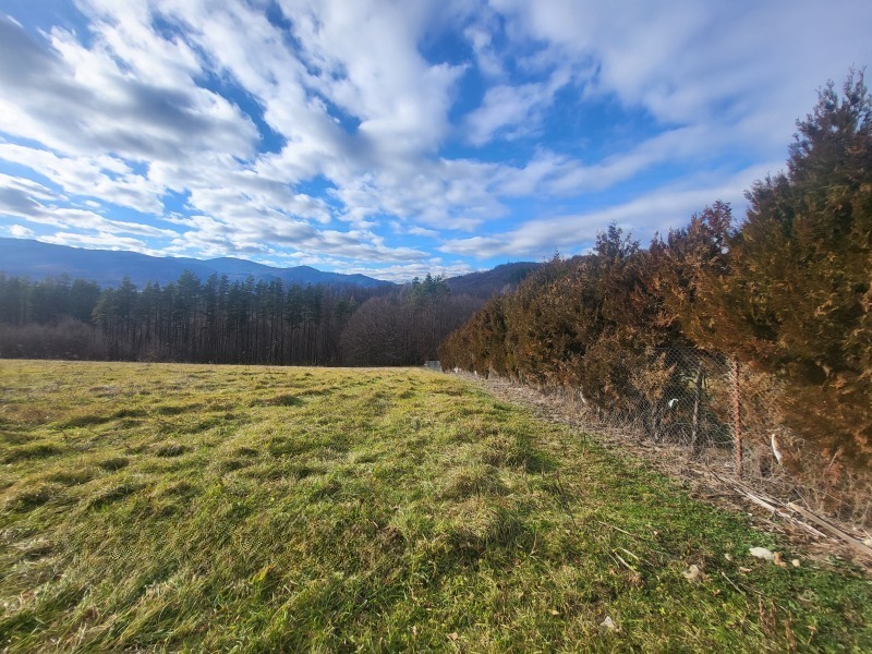 Til salg  Grund region Burgas , Tankovo , 13000 kvm | 44324410