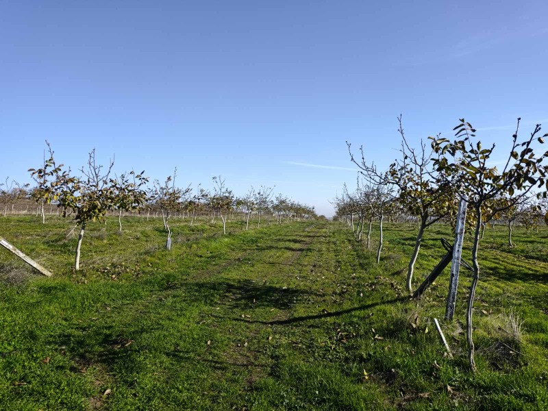 Продава ЗЕМЕДЕЛСКА ЗЕМЯ, гр. Каблешково, област Бургас, снимка 5 - Земеделска земя - 52850109