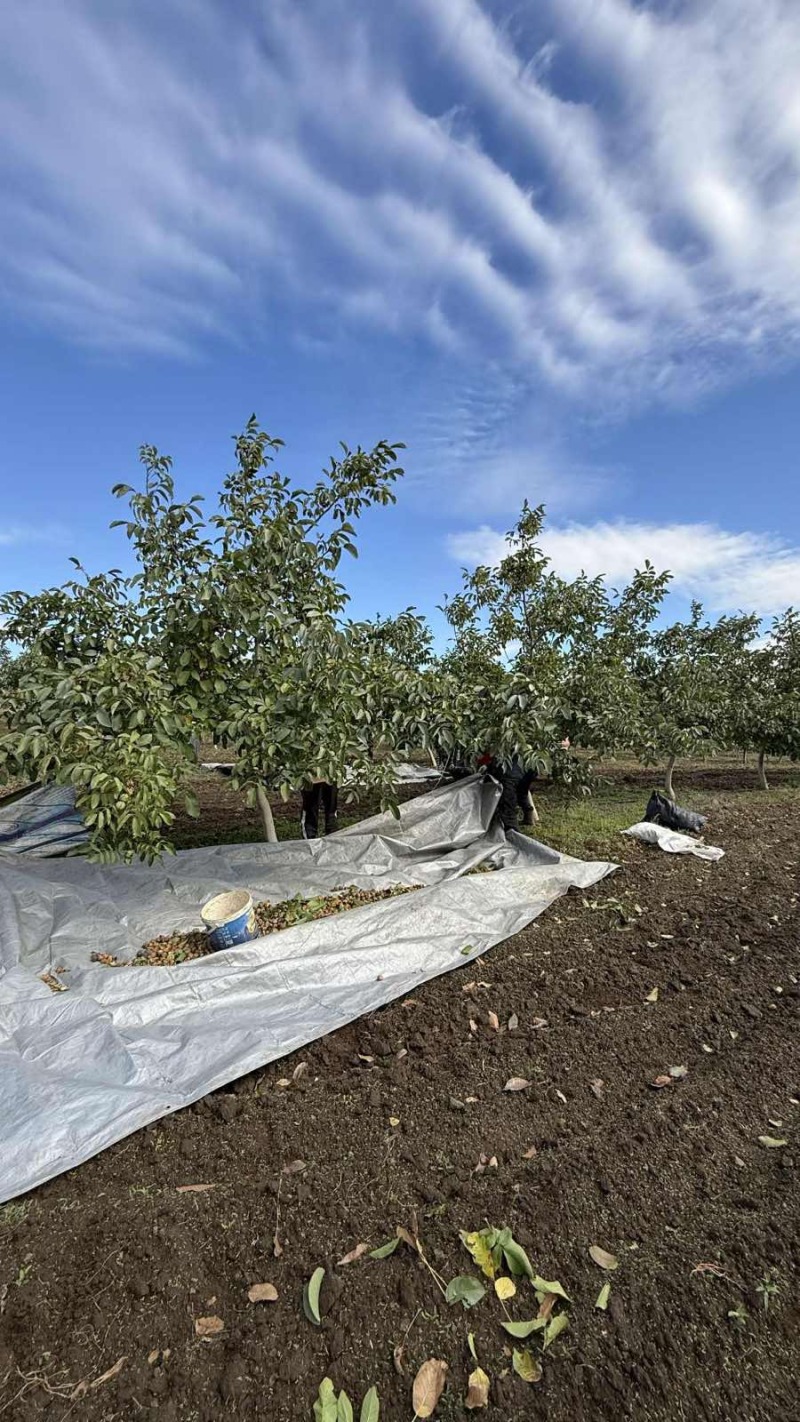 Продава ЗЕМЕДЕЛСКА ЗЕМЯ, гр. Каблешково, област Бургас