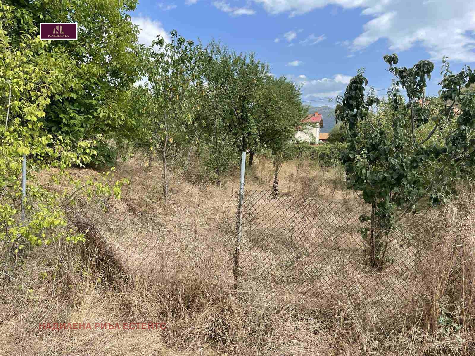 Продава ПАРЦЕЛ, с. Душанци, област София област, снимка 2 - Парцели - 49817479