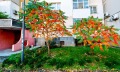 Продава  3-стаен град Пловдив , Кючук Париж , 101 кв.м | 11502915 - изображение [14]
