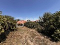 Продава  Къща област Пловдив , с. Дълго поле , 94 кв.м | 64545714 - изображение [3]