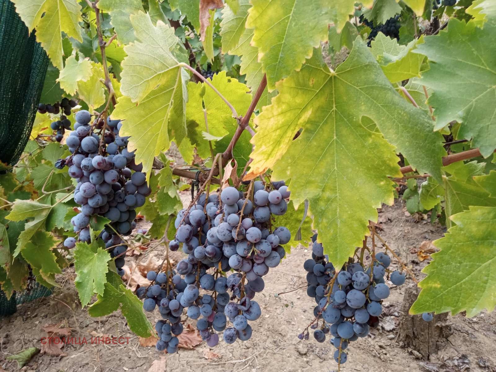 ������� ���� | Imot.bg � ����������� 6