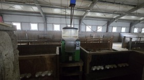 ������� ����� | Imot.bg � ����� ������ 8