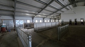������� ����� | Imot.bg � ����� ������ 12