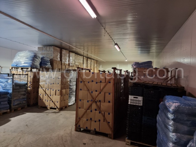 Продава БИЗНЕС ИМОТ, гр. Велики Преслав, област Шумен, снимка 11 - Други - 49258043