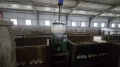 Продава БИЗНЕС ИМОТ, с. Дамяново, област Габрово, снимка 8