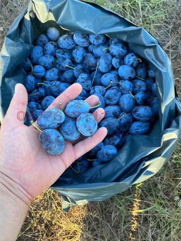 ������� ���������� ���� | Imot.bg � ����������� 4