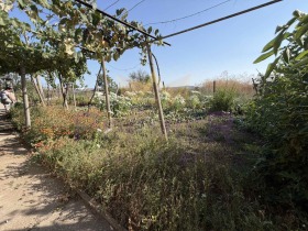 ������� ���� | Imot.bg � ����� ������ 14