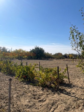 ������� ���� | Imot.bg � ����� ������ 10