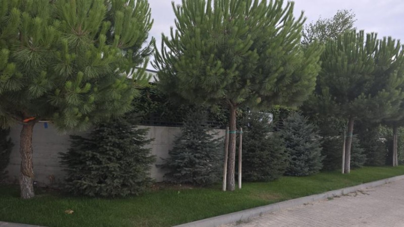 À vendre  Maison région Plovdiv , Markovo , 170 m² | 16610766 - image [15]