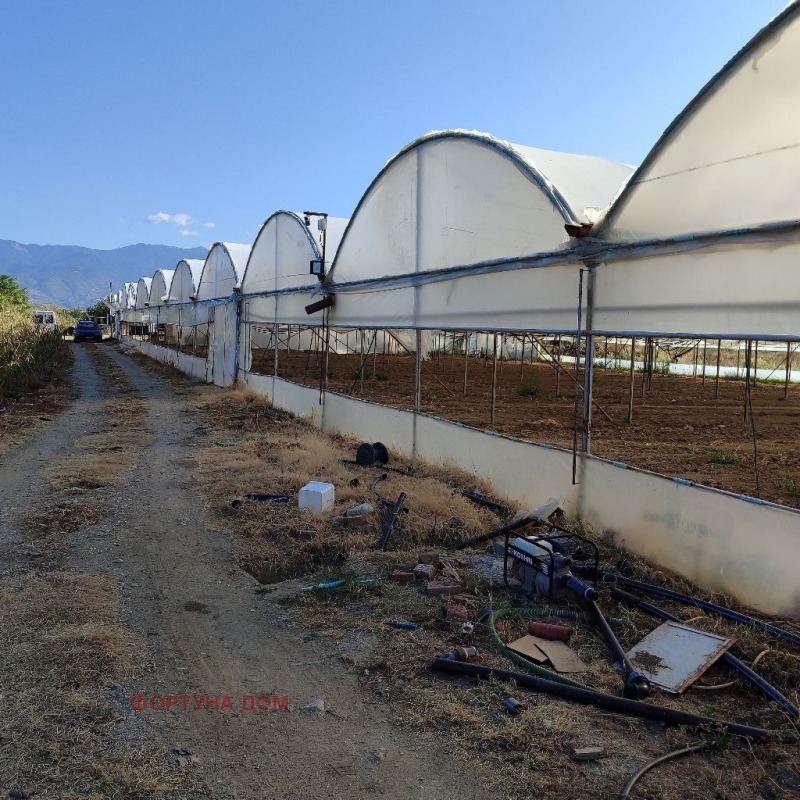 Satılık  Kara bölge Blagoevgrad , Sandanski , 8 dka | 69972325 - görüntü [9]