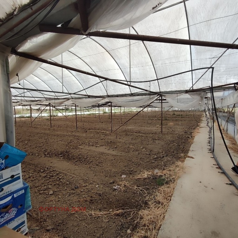 Satılık  Kara bölge Blagoevgrad , Sandanski , 8 dka | 69972325 - görüntü [12]