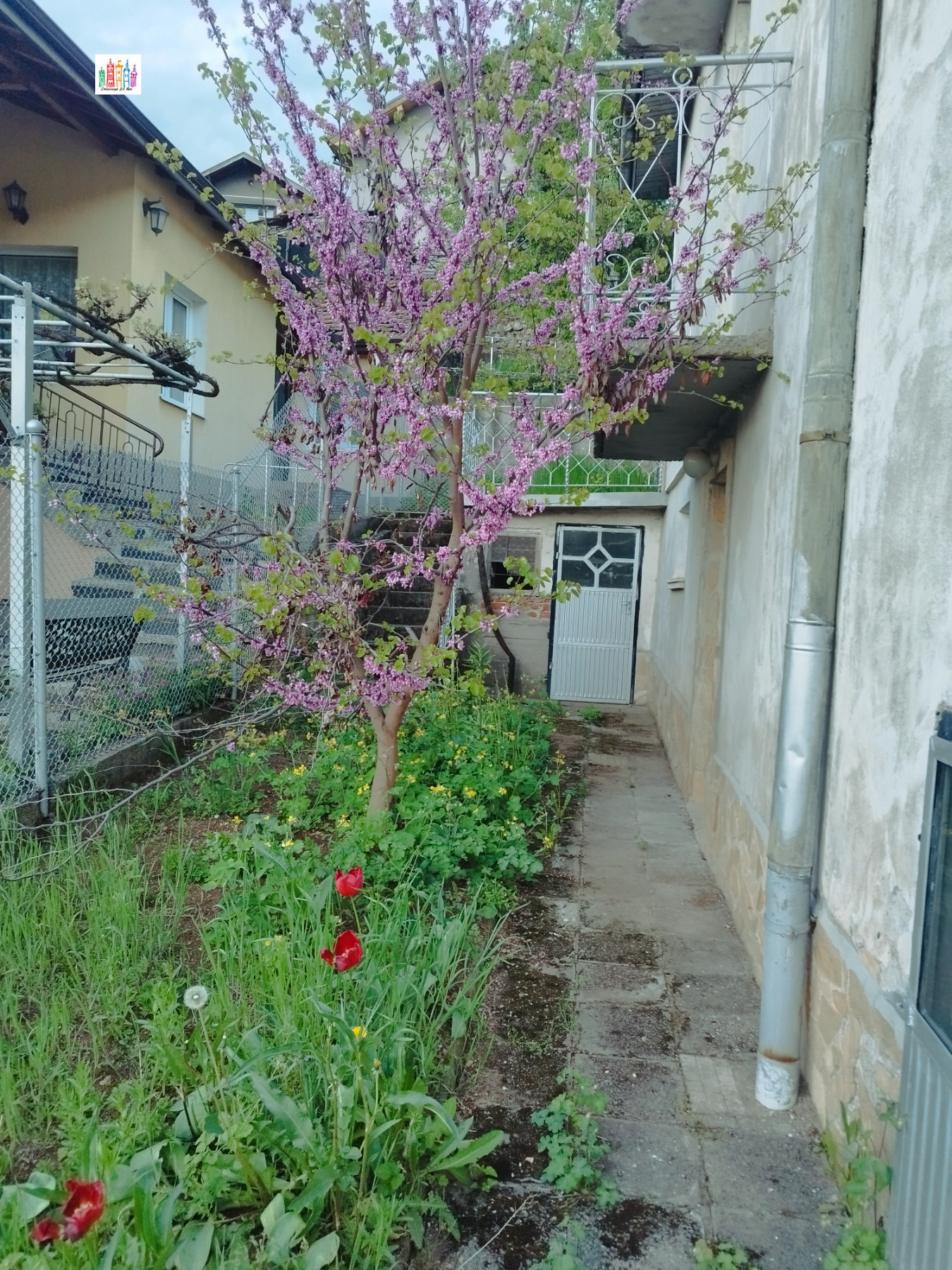 ������� ���� | Imot.bg � ����������� 11