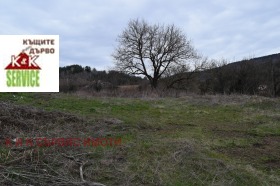 ����� ������� ������,�. ������, ������ �������