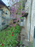 Продава КЪЩА, гр. Перник, Ралица, снимка 11
