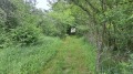 Продава ПАРЦЕЛ, област Пловдив, гр. Карлово • 11500 лв. • 51090264 — Holmes.bg