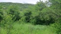 Продава ПАРЦЕЛ, област Пловдив, гр. Карлово • 11500 лв. • 51090264 — Holmes.bg
