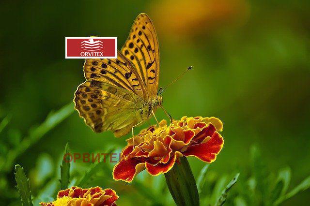 Продава ПАРЦЕЛ | Imot.bg — изображение 1