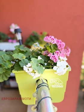 ������� 2-����� | Imot.bg � ����� ������ 9