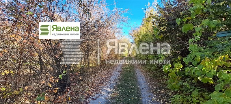 In vendita  Complotto regione Sofia , Mala Rakovitsa , 600 mq | 93209339 - Immagine [8]