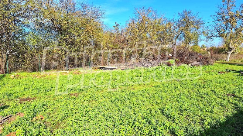 Продава ПАРЦЕЛ, с. Царичино, област Добрич, снимка 6 - Парцели - 52410998