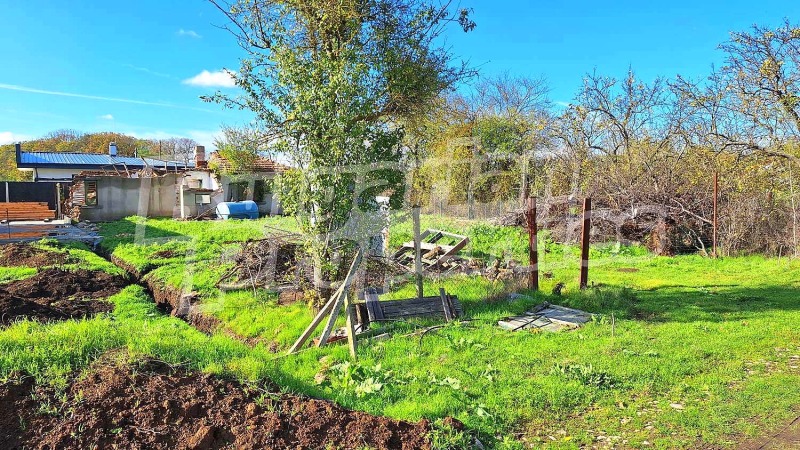 Продава ПАРЦЕЛ, с. Царичино, област Добрич, снимка 5 - Парцели - 52410998