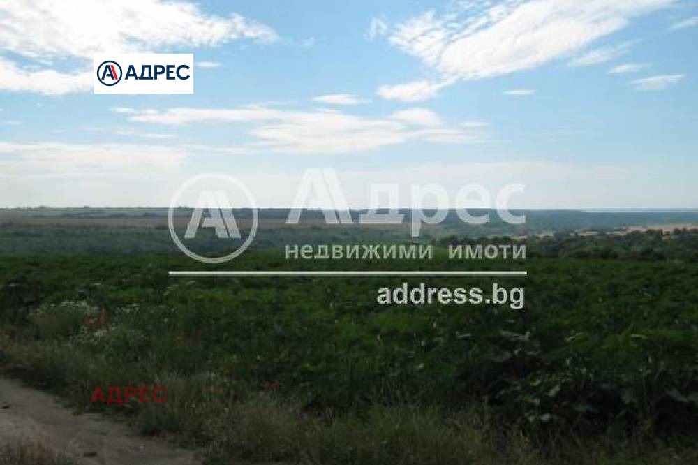 Продава ПАРЦЕЛ, с. Болярци, област Варна, снимка 2 - Парцели - 54626324