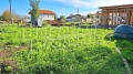 Продава ПАРЦЕЛ, с. Царичино, област Добрич, снимка 4