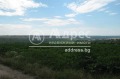 Продава ПАРЦЕЛ, област Варна, с. Болярци • 110000 € / 215141.30 лв. • 63083450 2