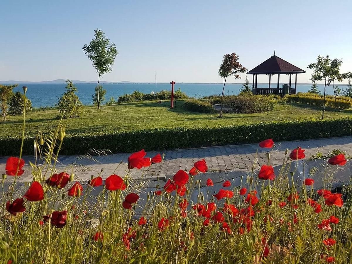 ������� 2-����� | Imot.bg � ����������� 14