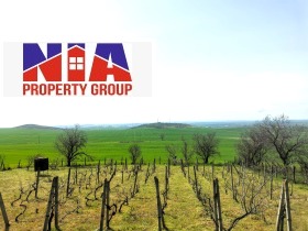 ������ ������� ����