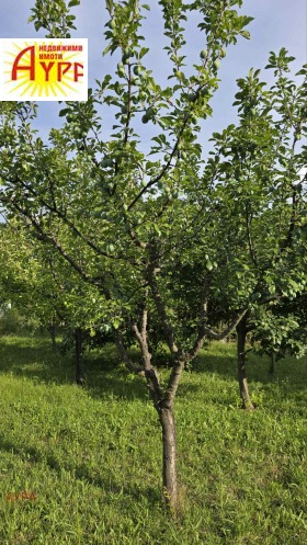 ������� ���� | Imot.bg � ����� ������ 4