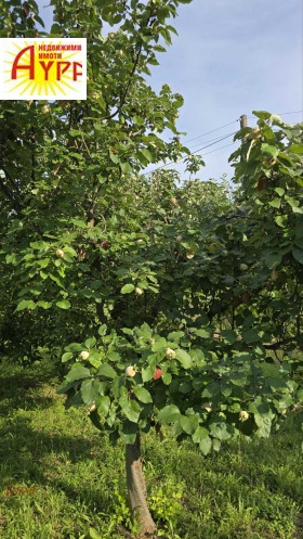 ������� ���� | Imot.bg � ����� ������ 14