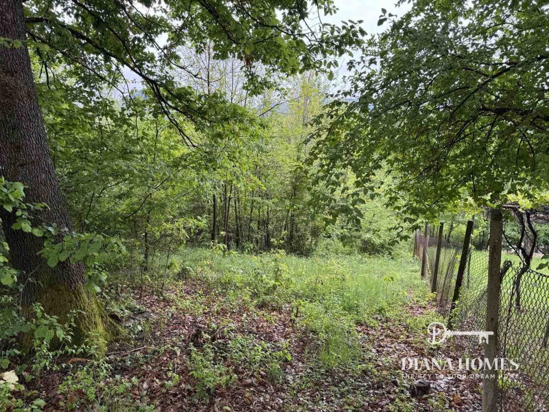 На продаж  Сюжет область София , Етрополе , 1056 кв.м | 91273910 - зображення [4]